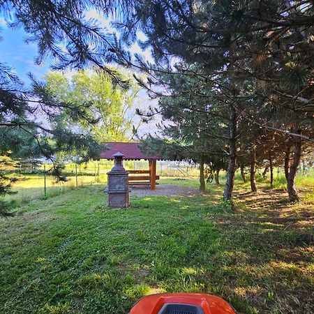 Apartamenty Jasmin I Lilia Jez. Sunowo Kolo Elku Chrzanowo المظهر الخارجي الصورة